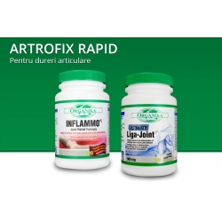 Protocol Artrofix rapid - pentru calmarea durerilor cauzate de artrita, artroza, reumatism, osteoartrita